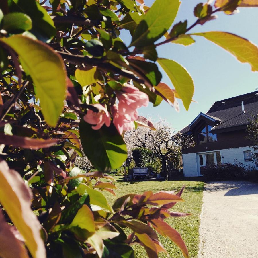 Chalet La Bachole Charancieu 外观 照片