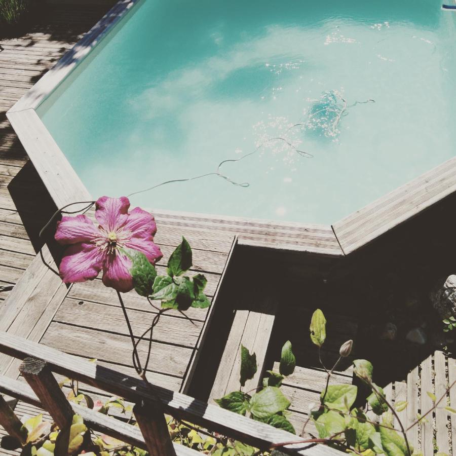 Chalet La Bachole Charancieu 外观 照片