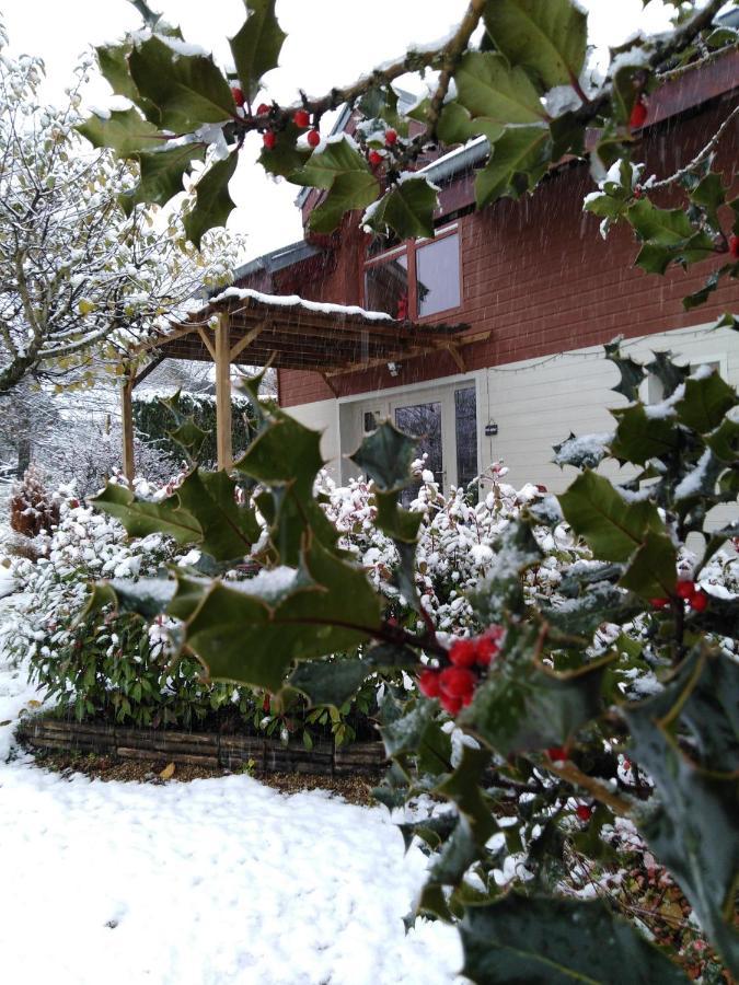Chalet La Bachole Charancieu 外观 照片