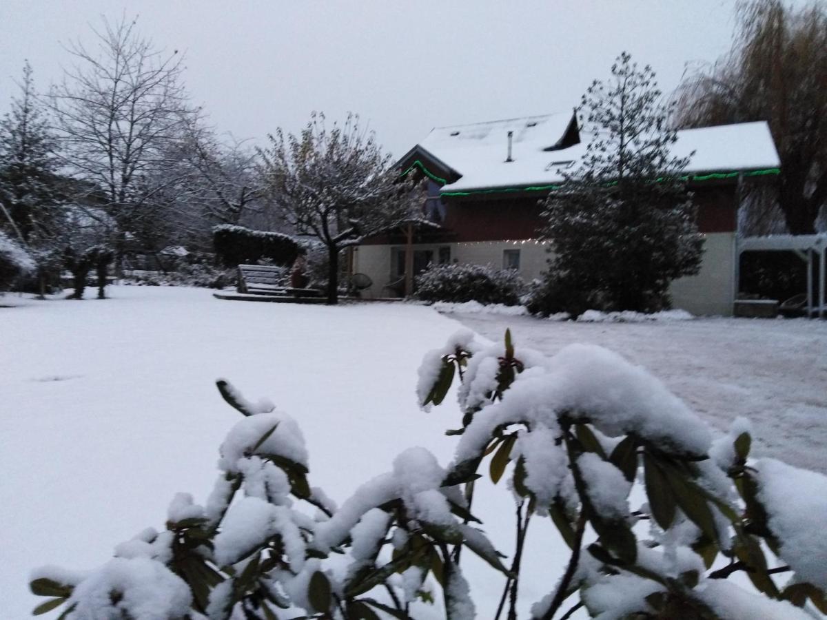 Chalet La Bachole Charancieu 外观 照片